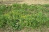 Kadlin 01 08 14_13