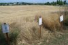 Kadlin 01 08 14_15
